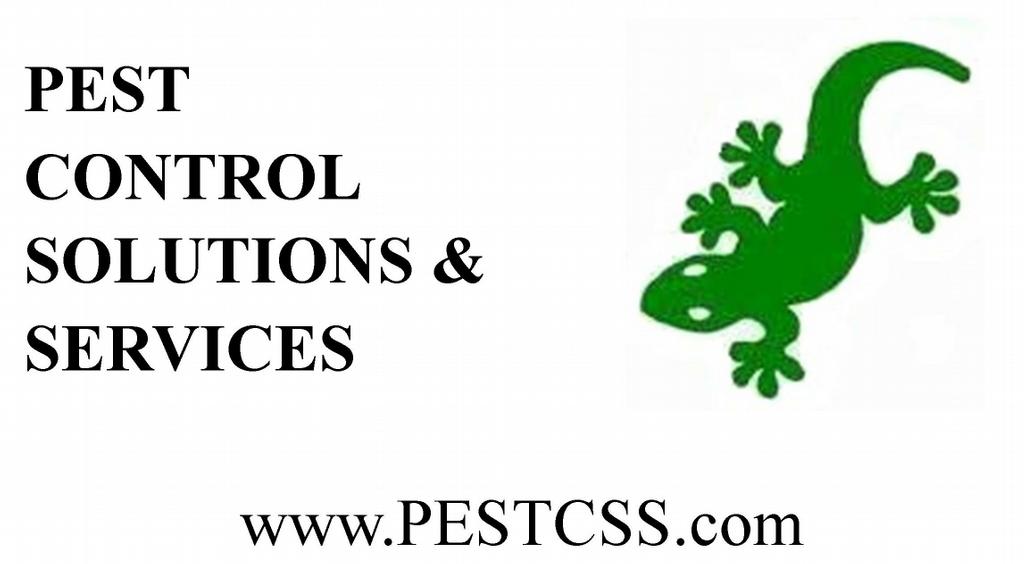Good News Pest Solutions Nokomis, FL Yelp